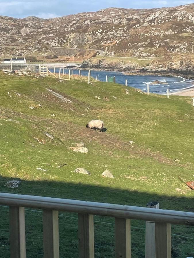 Sea View Cabin Clashnessie Экстерьер фото